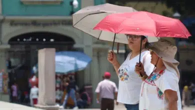 Noticias,Ahora,Medios,Redes Sociales,Tendencia,Viral,México,Estados,Principal