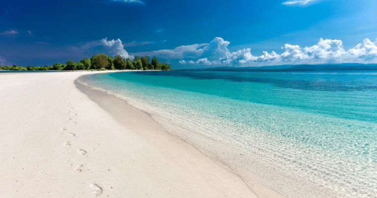 Noticias,Ahora,Medios,Redes Sociales,Tendencia,Viral,México,Estados,Principal