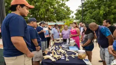 Campeche celebra la Feria de la Tortuga Marina 2025 con lleno total en Lerma