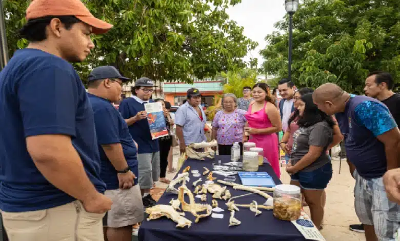 Campeche celebra la Feria de la Tortuga Marina 2025 con lleno total en Lerma