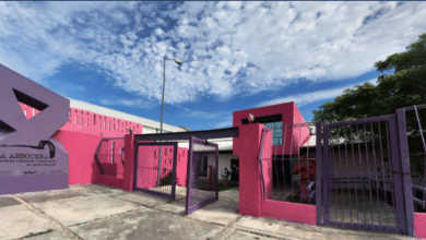 Campeche impulsa las artes visuales con nueva muestra colectiva en “La Arrocera”