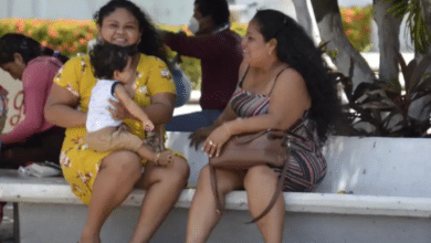 Campeche lidera en protección a mujeres el estado más seguro del país según informe nacional