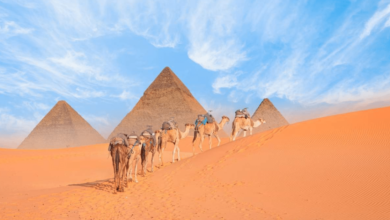 Egipto moderniza la experiencia en las pirámides turismo récord, mejoras y críticas al maltrato animal