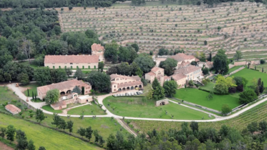 El viñedo de la discordia Brad Pitt y Angelina Jolie irán a juicio tras polémica venta (Foto por Getty Images)