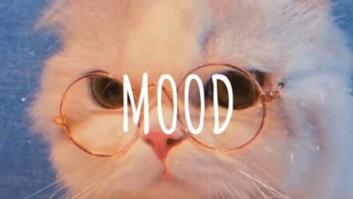 “Mood” el término con el que los chavos narran su vida emocional en TikTok (Foto por Dusk Music ASIA)