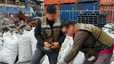 Profepa asegura 2,433 kilos de aletas de tiburón que pretendían llevar a Shanghai