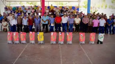 Reciben productores de Carmen más de mil bultos de semilla de maíz