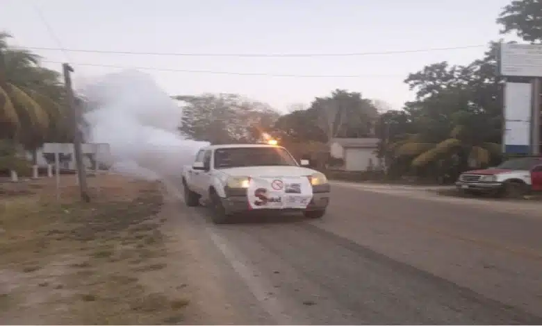 Refuerzan acciones contra el dengue en Campeche_ eliminan más de 279 mil criaderos de mosquitos