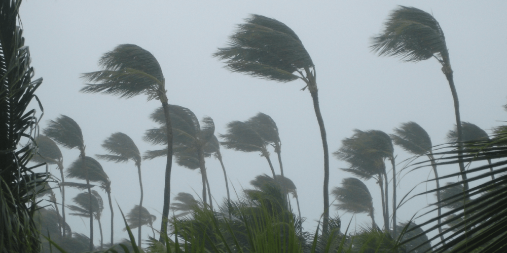 corredor de tormentas en Campeche,clima en Campeche,lluvias en Campeche,tormentas eléctricas,pronóstico Campeche,onda tropical 40,lluvias fuertes,península de Yucatán,SMN,Conagua,corredor de tormentas en Campeche este lunes,lluvias fuertes en Campeche 21 de septiembre de 2026,pronóstico del tiempo para Campeche hoy,cuántos milímetros lloverá en Campeche,tormentas eléctricas en Campeche durante la tarde,clima en Campeche este lunes 21 de septiembre,municipios de Campeche con probabilidad de lluvia,onda tropical 40 en la península de Yucatán,riesgo de inundaciones en Campeche por lluvias,rachas de viento y tormentas en Campecheclima Campeche hoy,lluvias Campeche hoy,corredor de tormentas Campeche,tormentas en Campeche,clima San Francisco de Campeche,SMN Campeche,lluvia en Campeche esta tarde