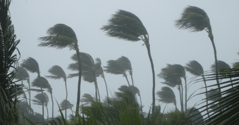 corredor de tormentas en Campeche,clima en Campeche,lluvias en Campeche,tormentas eléctricas,pronóstico Campeche,onda tropical 40,lluvias fuertes,península de Yucatán,SMN,Conagua,corredor de tormentas en Campeche este lunes,lluvias fuertes en Campeche 21 de septiembre de 2026,pronóstico del tiempo para Campeche hoy,cuántos milímetros lloverá en Campeche,tormentas eléctricas en Campeche durante la tarde,clima en Campeche este lunes 21 de septiembre,municipios de Campeche con probabilidad de lluvia,onda tropical 40 en la península de Yucatán,riesgo de inundaciones en Campeche por lluvias,rachas de viento y tormentas en Campecheclima Campeche hoy,lluvias Campeche hoy,corredor de tormentas Campeche,tormentas en Campeche,clima San Francisco de Campeche,SMN Campeche,lluvia en Campeche esta tarde