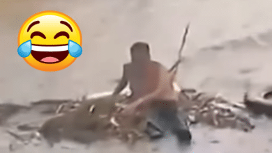 ‘Náufrago urbano’ en Campeche video muestra a indigente flotando en sofá durante inundación