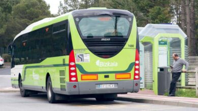 Acusan maltrato animal, suben a burra a un camión