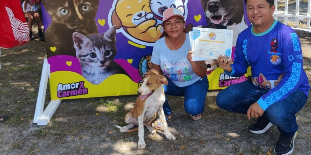 “Adoptar no es juego” llaman a la responsabilidad en adopciones de perros y gatos en Carmen