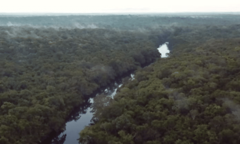 Balam Beh ejemplo nacional de restauración ambiental desde Campeche