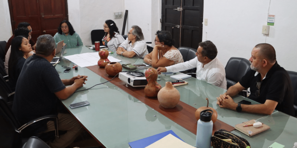 Campeche avanza en su agenda de accesibilidad con trabajo interinstitucional