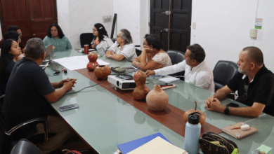 Campeche avanza en su agenda de accesibilidad con trabajo interinstitucional