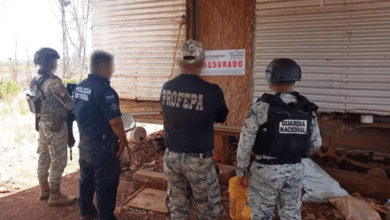 Clausuran terrenos por tala ilegal en zonas protegidas en Campeche