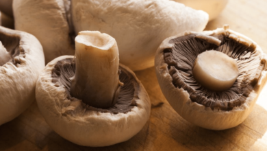 Cómo lavar correctamente los hongos para tus quesadillas y evitar riesgos a la salud