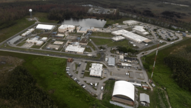 Connacionales detenidos en ‘Alligator Alcatraz’ México busca su repatriación inmediata