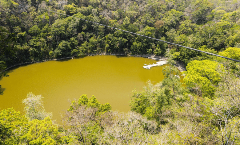 Conservación y producción sostenible casos de éxito en el Corredor Biológico Balam Beh