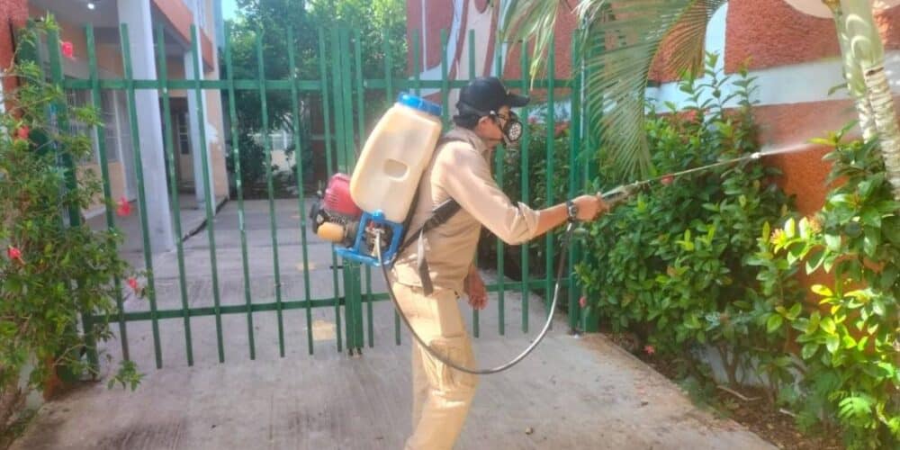 Dengue en Campeche Siguen las acciones para su combate
