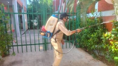 Dengue en Campeche Siguen las acciones para su combate