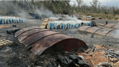 Detectan hornos clandestinos de carbón en Champas Quemadas, Hecelchakán