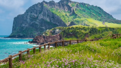 La isla volcánica de Jeju, también conocida como Yeyu, combina paisajes únicos, senderos costeros y la emblemática cultura de las haenyeo, las buceadoras ancestrales que sostienen un legado milenario.