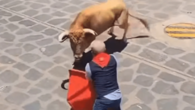 Festejo en Xico termina con sustos más de 10 heridos durante la tradicional Xiqueñada