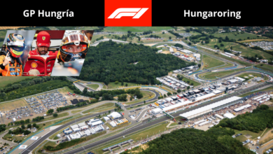 La Fórmula 1 regresa al Hungaroring para el Gran Premio de Hungría 2025. Oscar Piastri y McLaren buscan repetir la gloria del año pasado, mientras Lewis Hamilton persigue su novena victoria en este icónico circuito.