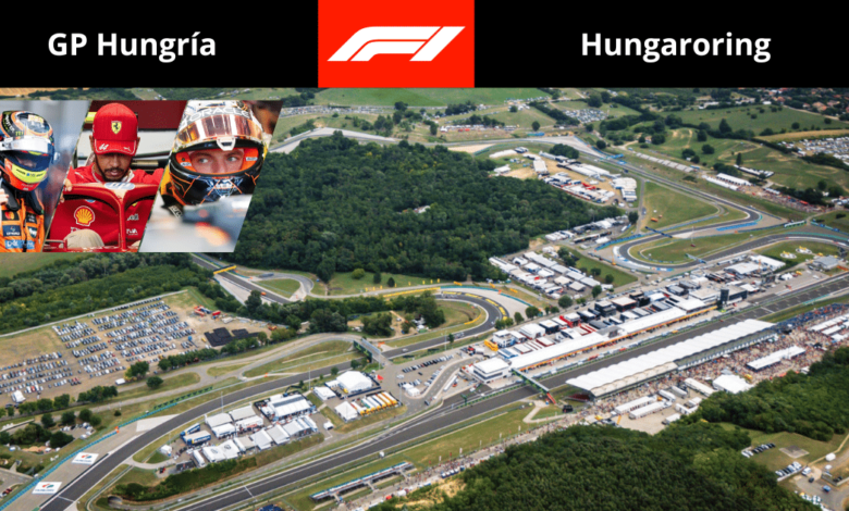 La Fórmula 1 regresa al Hungaroring para el Gran Premio de Hungría 2025. Oscar Piastri y McLaren buscan repetir la gloria del año pasado, mientras Lewis Hamilton persigue su novena victoria en este icónico circuito.