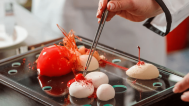 Gastronomía científica la fusión entre cocina e innovación