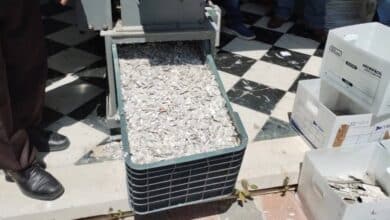 INE destruye más de 3 mil credenciales en Campeche