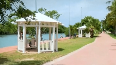 Jardín del Arte en Cancún esculturas, naturaleza y tranquilidad en plena Zona Hotelera