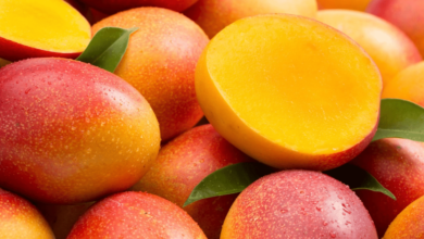 Julio es de mango recetas, sabores y cultura en torno al fruto estrella del verano mexicano