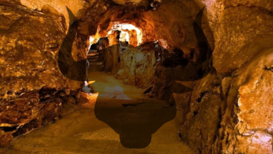 La Cueva del Toro la leyenda campechana que aún retumba en San Román