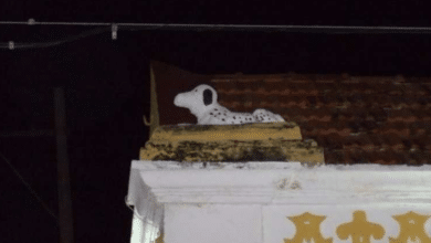 La leyenda del perro que enfrentó al demonio en Campeche