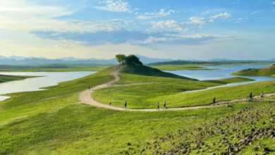 Narnia existe… y está en Culiacán el mágico paraíso escondido en Sinaloa