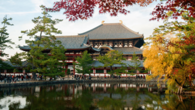 Parque de Nara donde historia, naturaleza y ciervos conviven en armonía