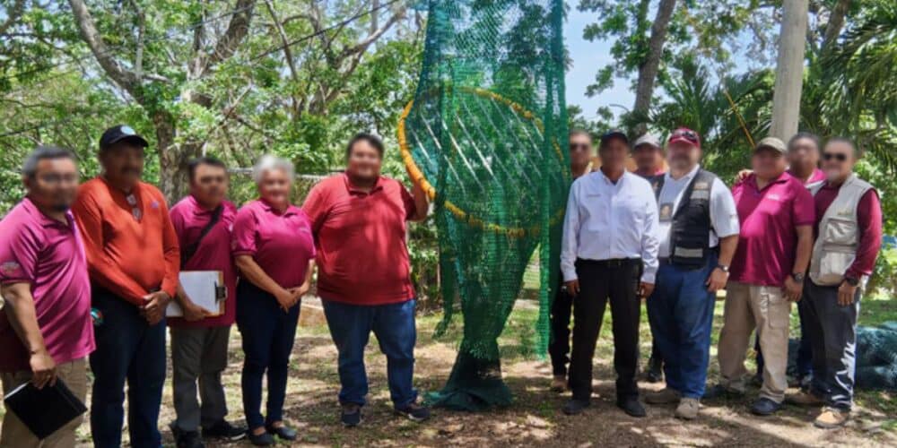 Pescadores de Campeche capacitados por la Profepa para evitar muertes de tortugas