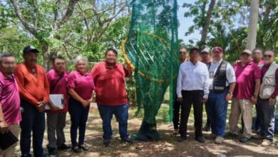 Pescadores de Campeche capacitados por la Profepa para evitar muertes de tortugas