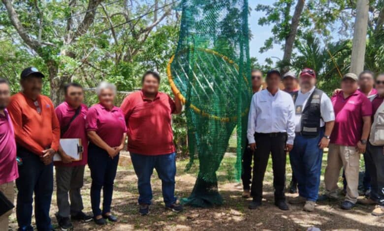 Pescadores de Campeche capacitados por la Profepa para evitar muertes de tortugas