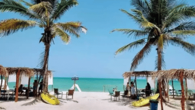 Playas de Campeche, libres de riesgos sanitarios para disfrutar en verano 2025