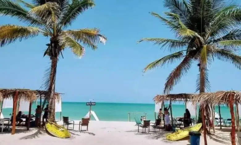 Playas de Campeche, libres de riesgos sanitarios para disfrutar en verano 2025