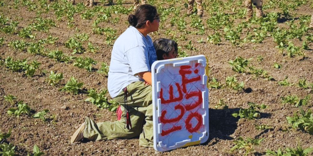 Redadas en California dejan 100 migrantes detenidos
