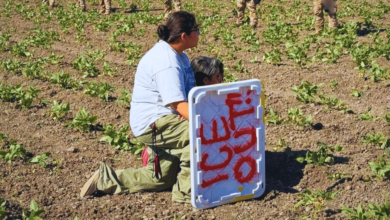 Redadas en California dejan 100 migrantes detenidos