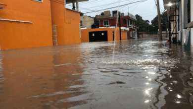 Refuerzan drenaje pluvial en la colonia Ermita para acabar con las inundaciones