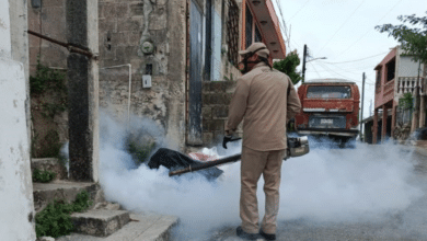 SSA refuerza medidas contra el dengue ante temporada de lluvias