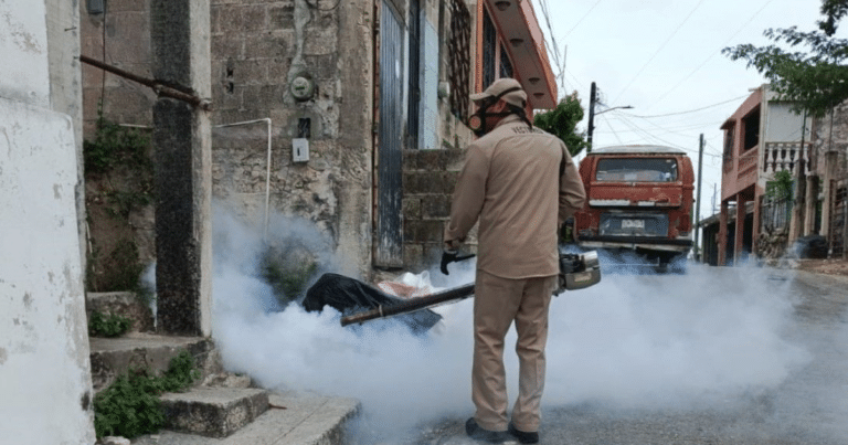 SSA refuerza medidas contra el dengue ante temporada de lluvias