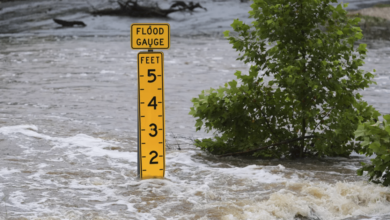 Texas declara emergencia por inundaciones y activa operativo de búsqueda tras desapariciones en campamento infantil (Eric Gay The AP)